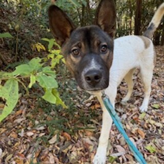 人が大好き！ブン太