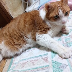 いくら順調です。