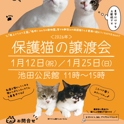 NECOAS 保護猫譲渡会 静岡市駿河区