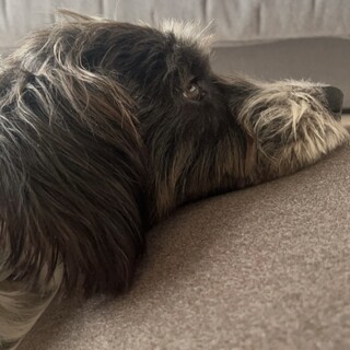 元気いっぱいわんぱくな男の子