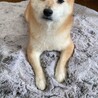 ムウちゃん、