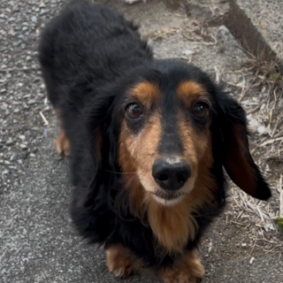 とっても穏やかな福ちゃん