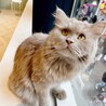 只今お話中！優しく面倒見のいいお兄さん サムネイル2