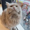 只今お話中！優しく面倒見のいいお兄さん サムネイル4