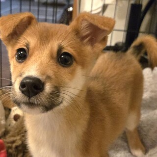 推定2.5ヶ月まさる募集一時停止