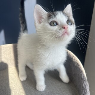 ゴロゴロ3兄妹♪甘々み-ちゃん‪‪❤︎‬2ヶ月