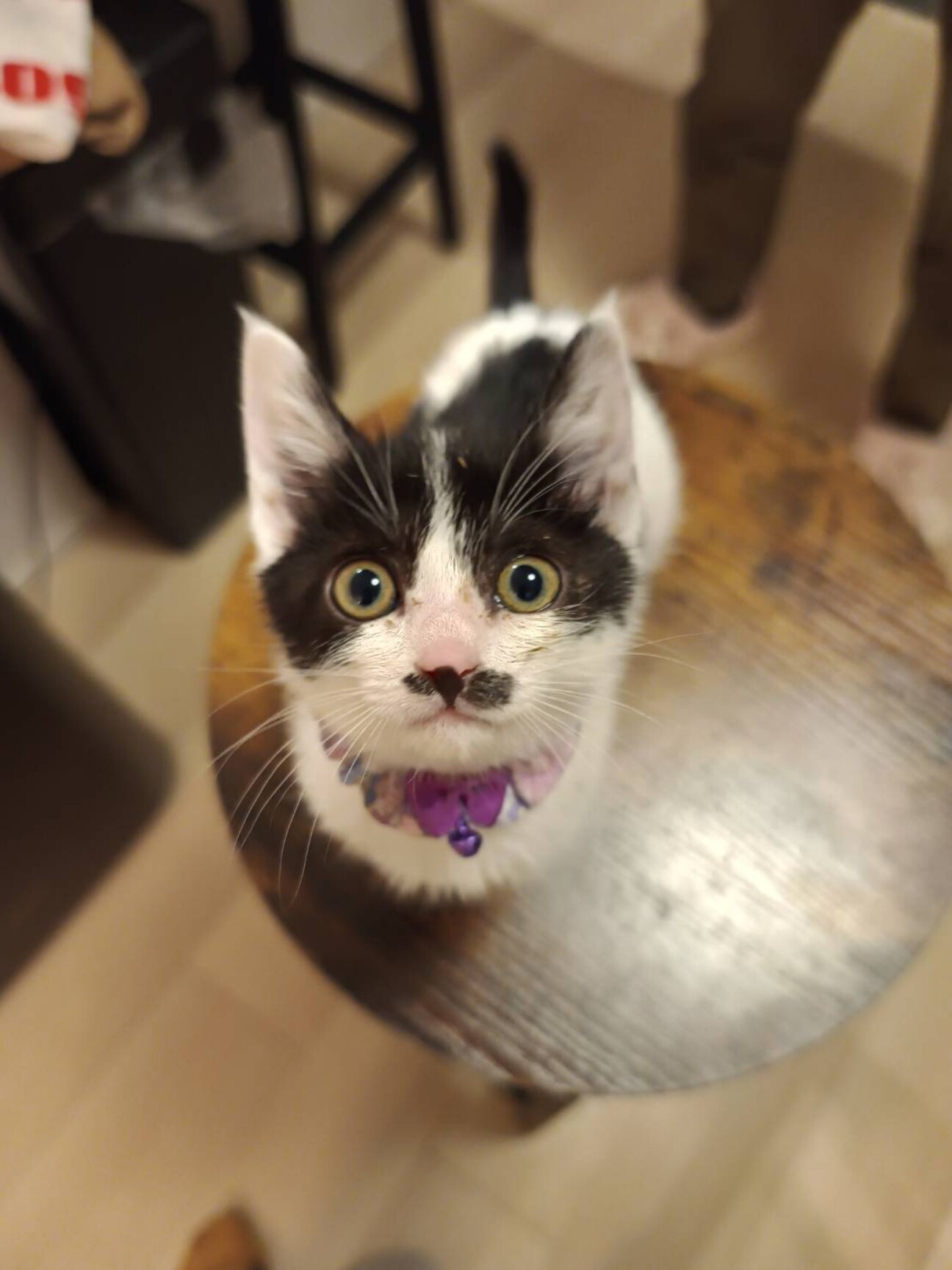 お転婆ちょび髭の女の子　もぐら社長 サムネイル1