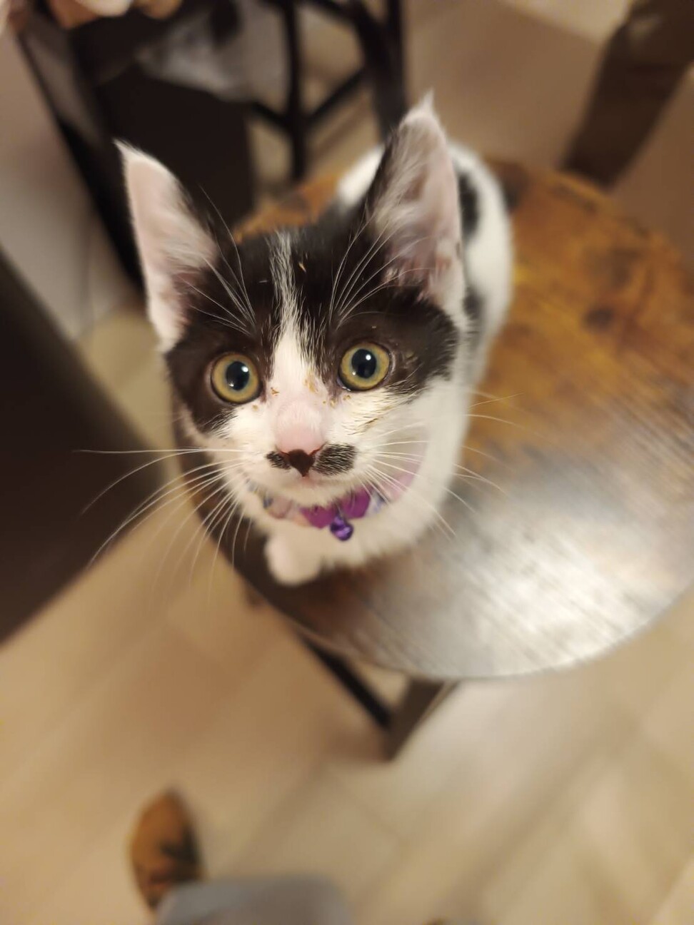 お転婆ちょび髭の女の子　もぐら社長 サムネイル2