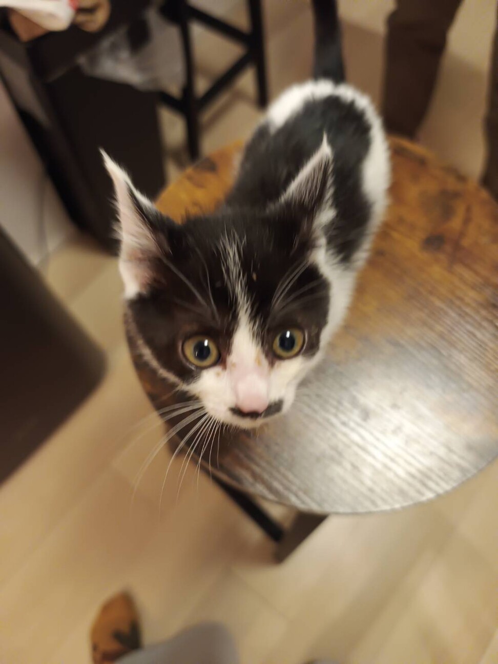 お転婆ちょび髭の女の子　もぐら社長 サムネイル3