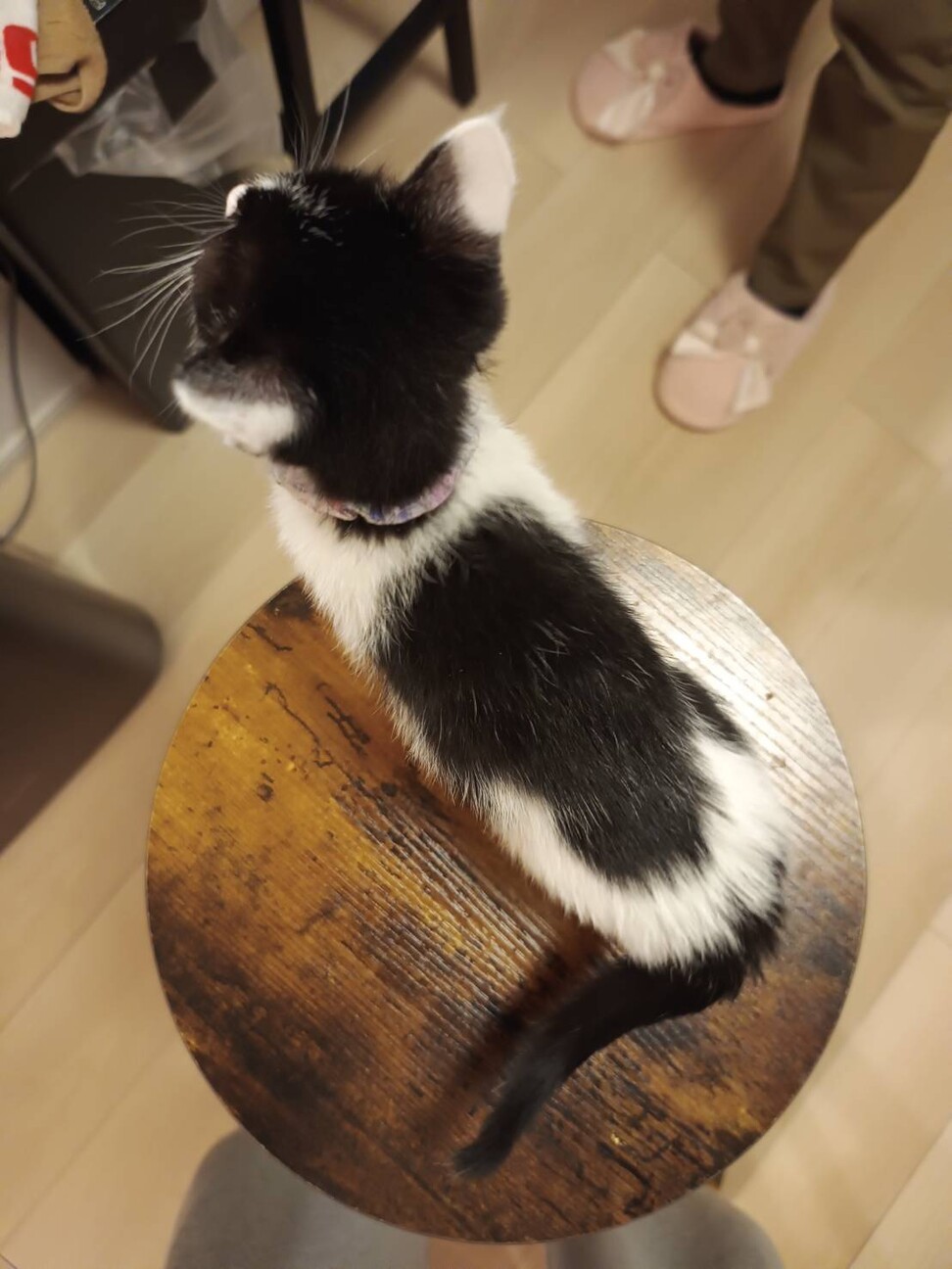 お転婆ちょび髭の女の子　もぐら社長 サムネイル4