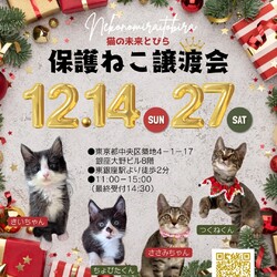 ★猫の未来とびら譲渡会★東銀座徒歩2分★東劇隣