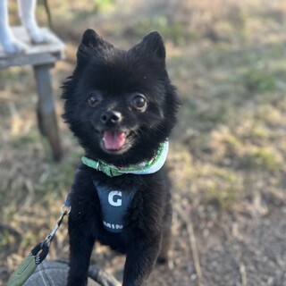 やきもちやきの中身はヤングのわさびちゃん♡