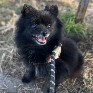 おっとりで控えめななすびちゃん♡