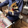 超人慣れした仔犬 サムネイル2