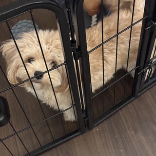 今現在メッセージいただいている方にのみ返信します