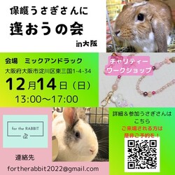 保護うさぎさんに逢おうの会in大阪