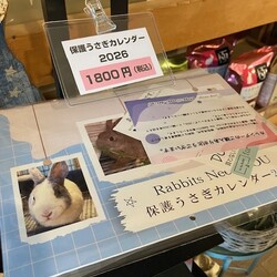 保護うさぎさんに逢おうの会in大阪 サムネイル2