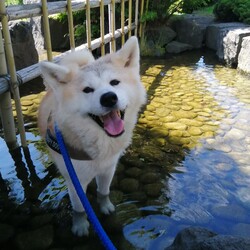 幸せをありがとう