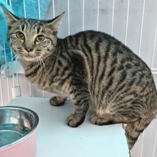 処分対象　収容期限12/17朝まで　延長なし