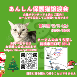 ㉝あんしん保護猫譲渡会