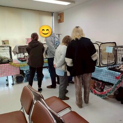 まだら家 サムネイル2