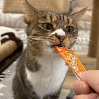 鼻がナイキ？ビビりで食欲旺盛な男の子！