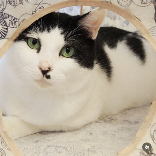 奇跡を引き起こした男☆VIVA！