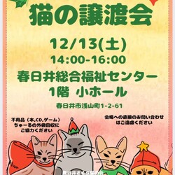 保護猫の譲渡会in春日井