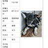 殺処分対象❗️収容期限12/18迄❗️延長なし サムネイル7