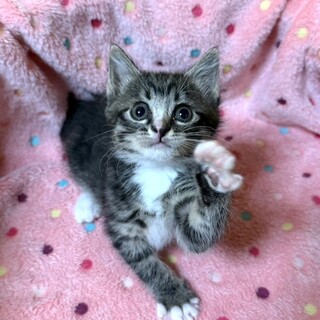 【12/27東銀座】おりちゃん★２ヵ月半♪