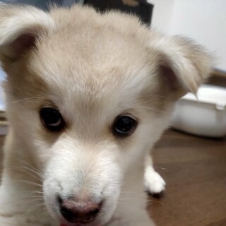 元気いっぱい人が大好き！