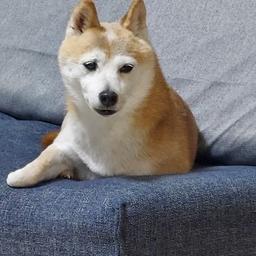 ヒロくんは？？地震大丈夫？？(;´A｀)