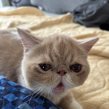 の写真