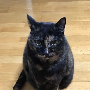 倖ちゃん、怖かったね。お母さんのおそばにいて、1人でお外はダメだよ！