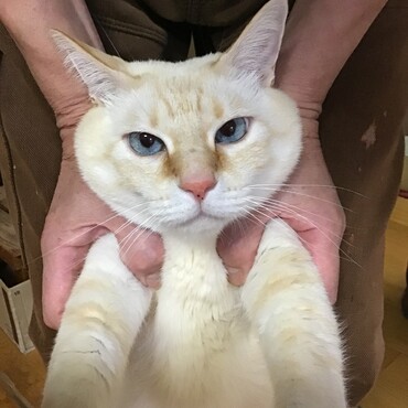 オヅノくん！また揺れちゃって、怖いね。大丈夫？