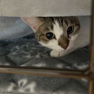 この子だけを見てくれる方