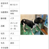 温かいおうちの子になれますように サムネイル6