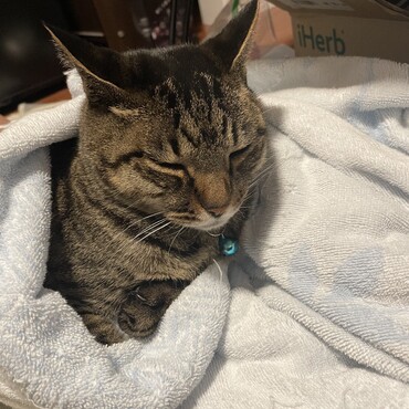 ただいま、瞑想中