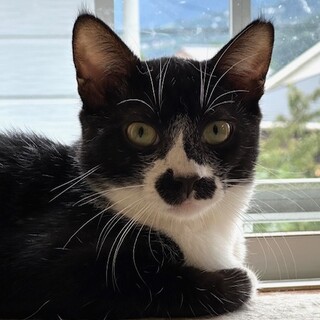 ちょっとビビリなイケメン　けん太君