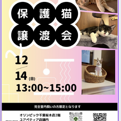 福々猫の家　保護猫譲渡会