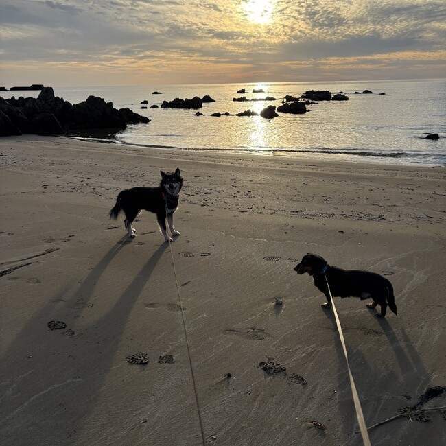 西子ママのカバー写真