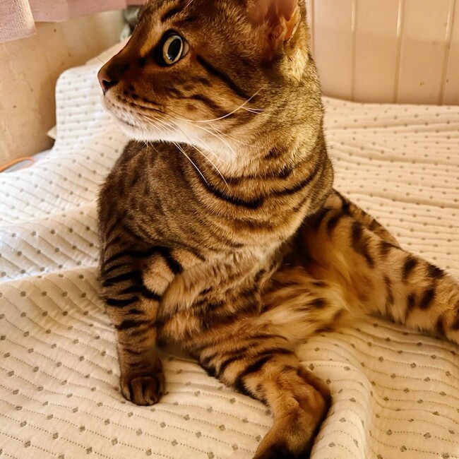 伊予柑たんのカバー写真