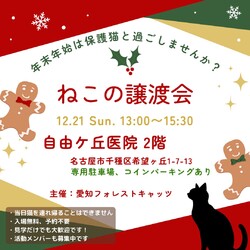 保護猫譲渡会　名古屋市