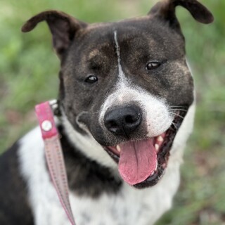 厳つい見た目ですが、可愛いヤツです！