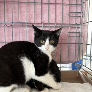 仲良し兄妹の信くん