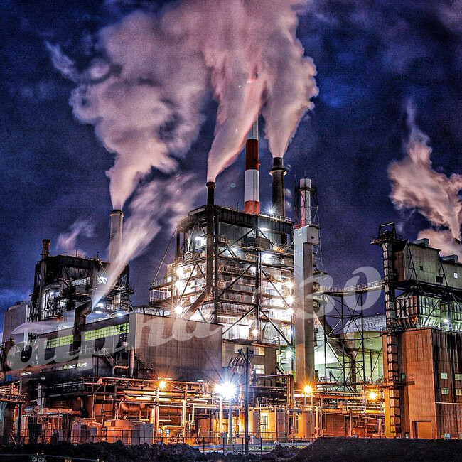 yamococoのカバー写真