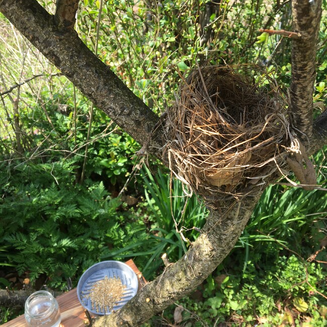 えぴまきのカバー写真