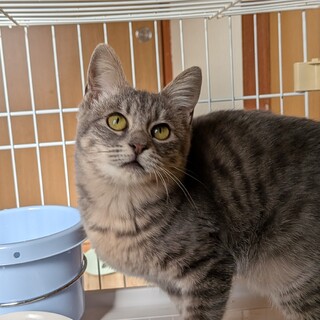 緊急！！超ゴロスリの女の子　手術後リリース