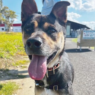 純真無垢な甘えん坊『アラン』