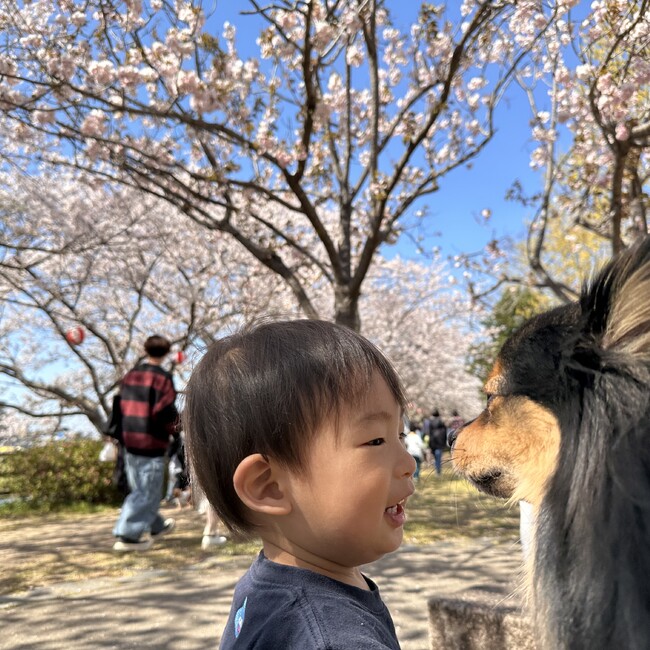 たかうきのカバー写真